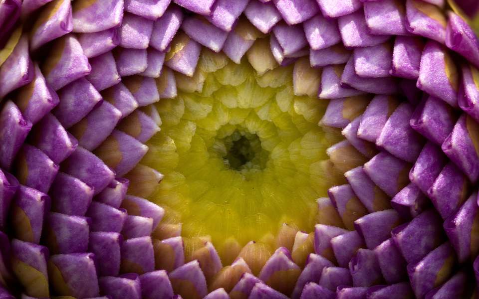 激发社会投资活力促进中国制造品质升级经过多