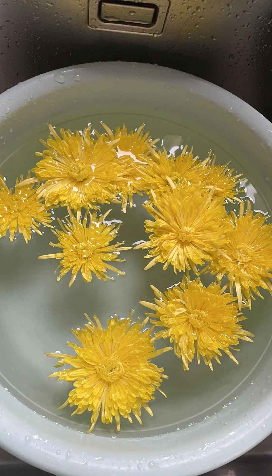 菊花烘干成品
