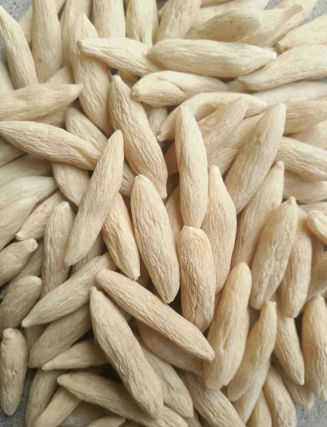麦冬烘干品