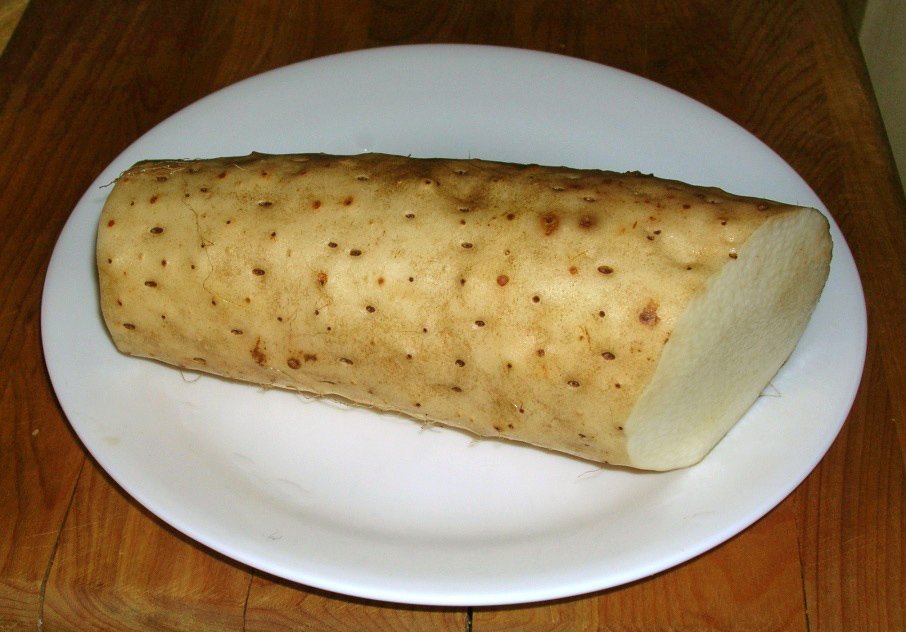 新鲜山药