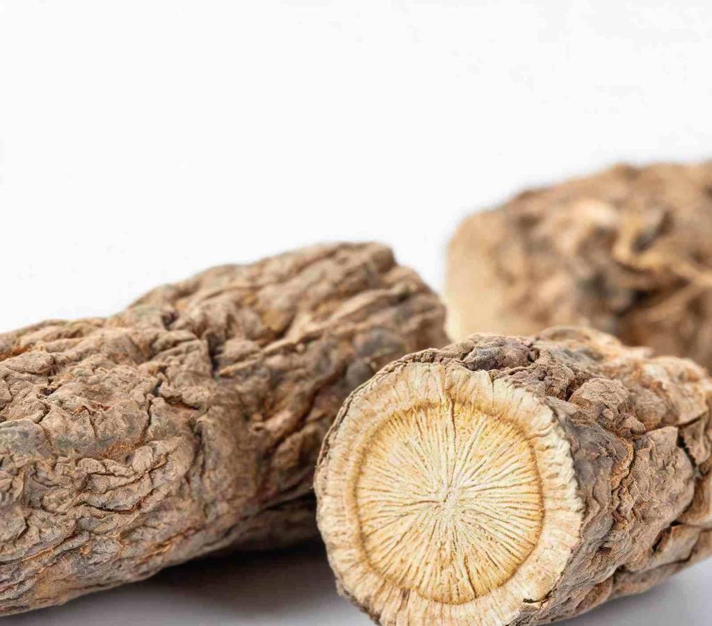 烘干后的续断药材