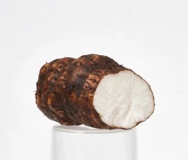 土茯苓烘干工艺流程与操作要点