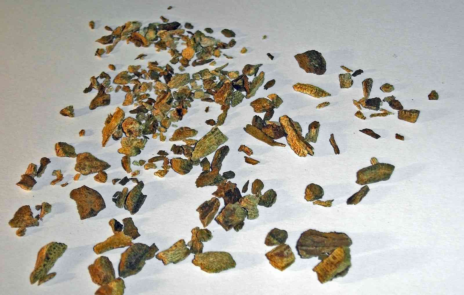 大黄干燥切片
